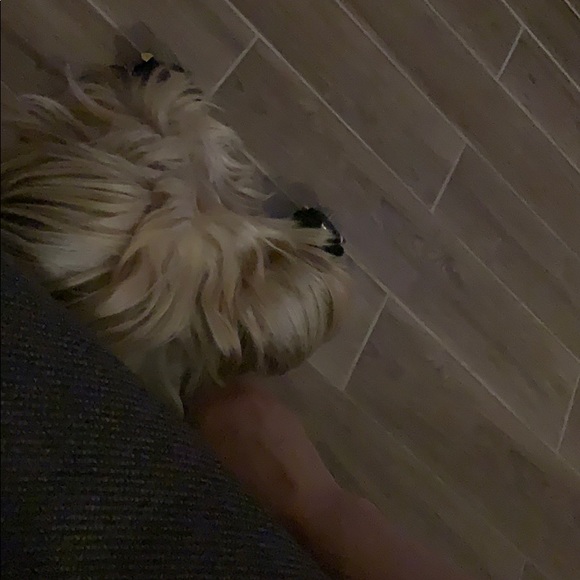 Meet your Posher, Rocio - Picture 1 of 1